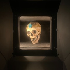 Skeleton Head