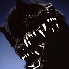 𝐊𝐞𝐧𝐥𝐞𝐲 🙀