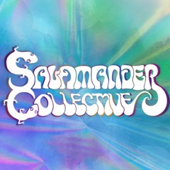 Salamander Collective