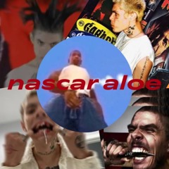NascarAloe444
