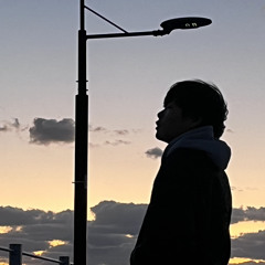 Hys_0659