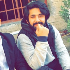 Momi Malik