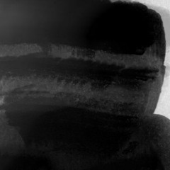 Radicaltensor