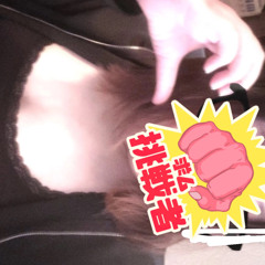 ひなざうるす