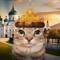 Артём фаст мом