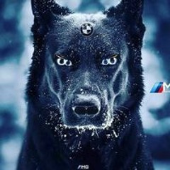 Tyrone NavigatorSquanch Johnston