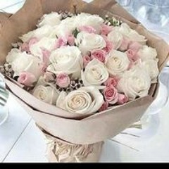 عازفه الامل