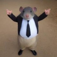 Yasmin Peinado Melchor