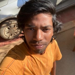 Aryan mandavi