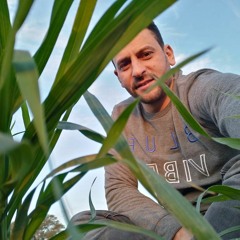 Mohamed Elalamony