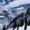Alpines
