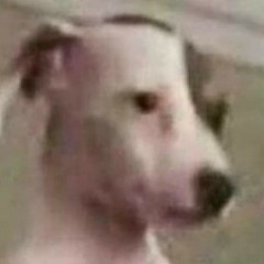 vicador