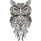 owl 🦉