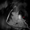 Lowko_RBT