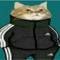 GH3TT0