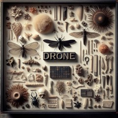 DRONE