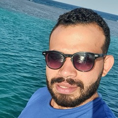 mohamed said Elmoghazy