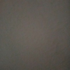 ms