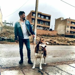 ardalan part