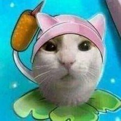 maconhacore
