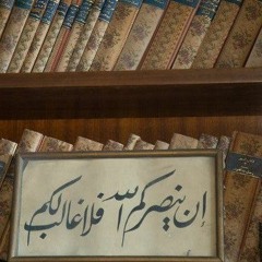 Zeinab Hamdy