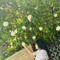 jot_braham1