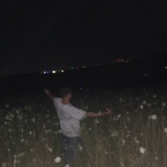 andre_swzz