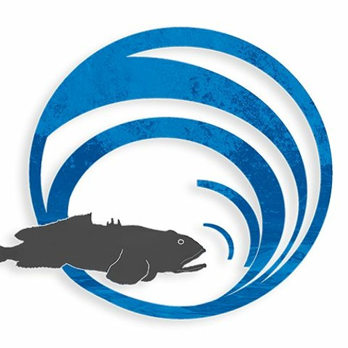 Stream #22 Som Peixe - Fish Sound Azores by FishBioacoustics lab ...