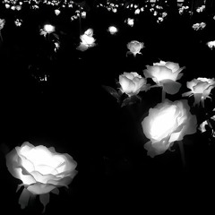 igorekowo — White trash x Plenka (slowed) (www.lightaudio.ru).mp3