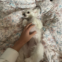 진짜로 진명이인뎅
