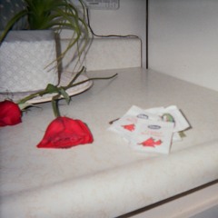 íՏӀҽԵӀҽԵՏí