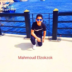 Mahmoud ELZOKZOK
