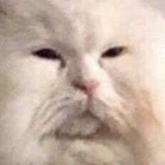 New private playlist