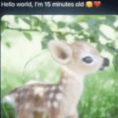 Alixiobutonmobilebecauseimtoolazytologinonmymain