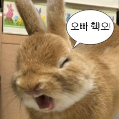 산토끼
