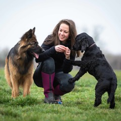 Steph - Wild Heart Dog