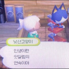 😿