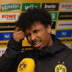 voiddortmund