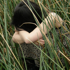 violu