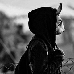 𝕯𝖗𝖆𝖈𝖔𝖒𝖆𝖓𝖙𝖊