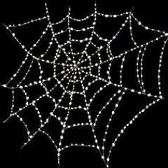 puzzle🕸collage