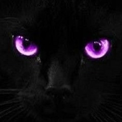 Kat