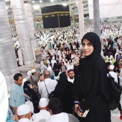 Menna Elzohery