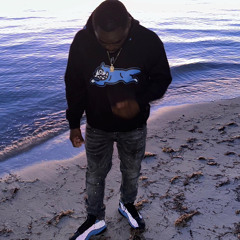 Fly Guy