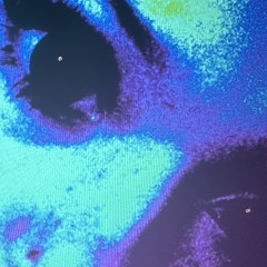 immabluejai