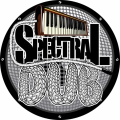 Spectral DUB Records