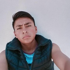 Enrique Méndez Altamirano