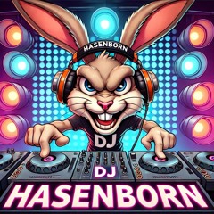 DJ Hasenborn
