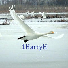 1HarryH