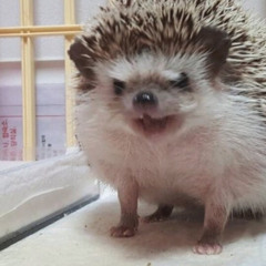 skajw